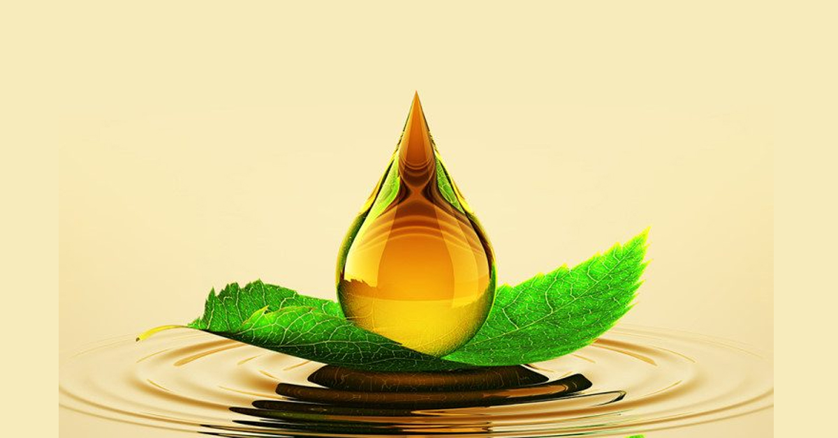 focus-lubricants